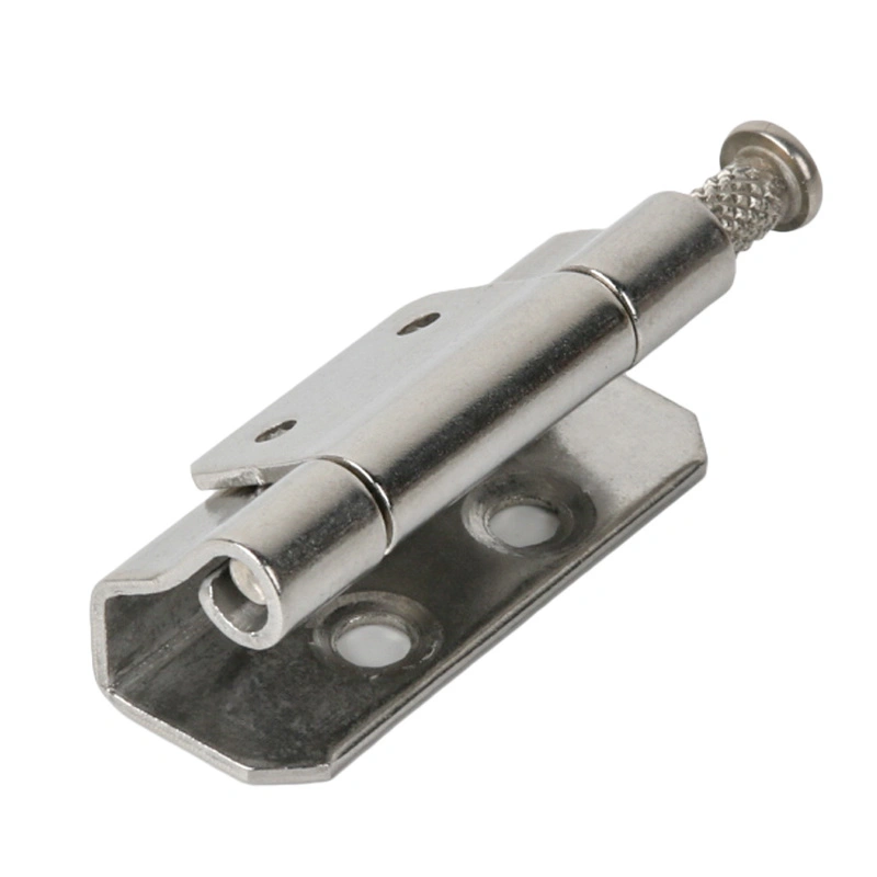 Cabinet absconditus Hinge Cabinet absconditus Hinge