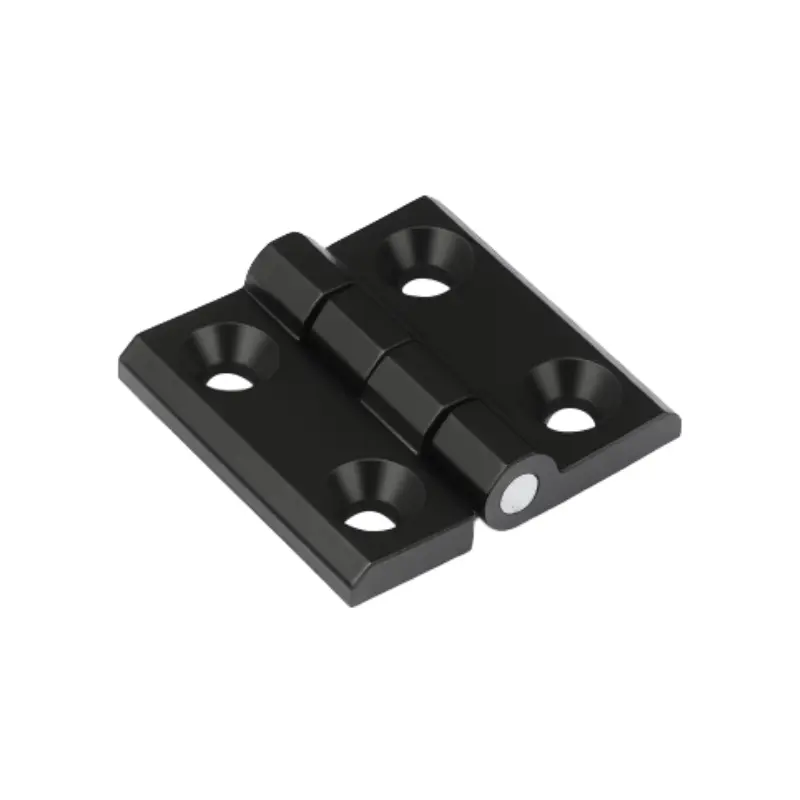 Immaculatam ferro Hinge