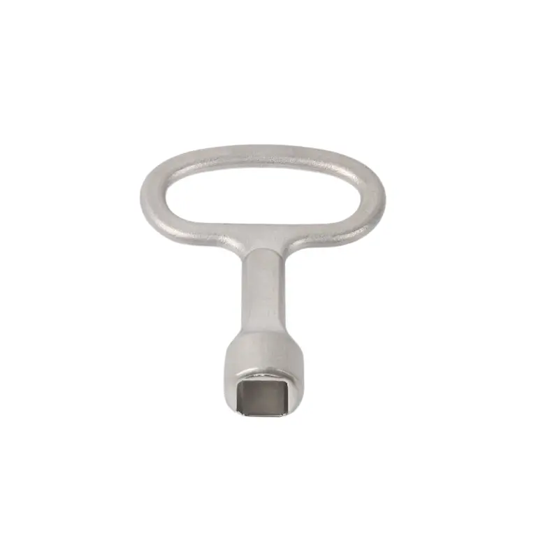 Stainless ferro quadratum clavis